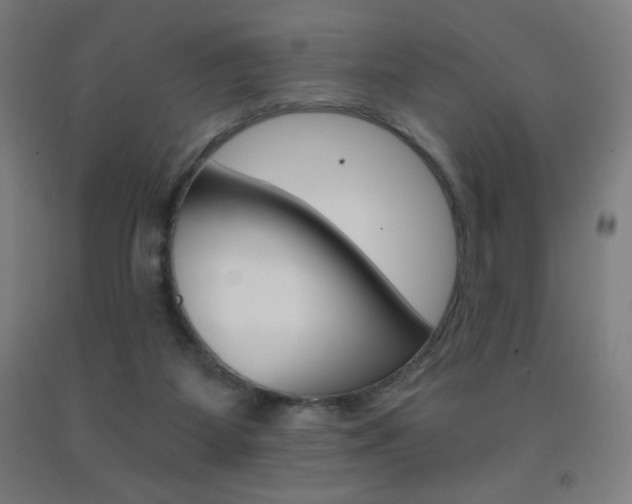 X0000093230115200709261517