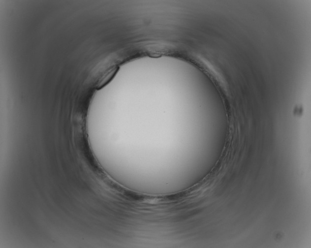 X0000093230117200709261517
