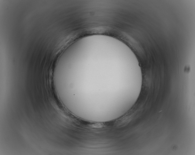 X0000093230118200709261517