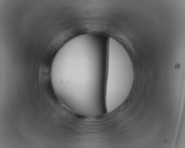 X0000093230123200709261517