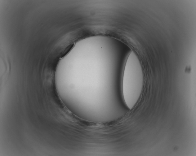 X0000093230125200709261517