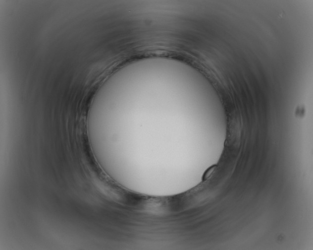 X0000093230126200709261517
