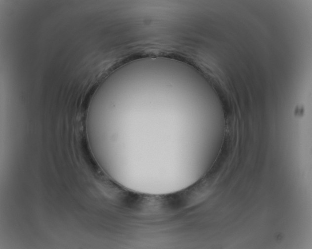 X0000093230127200709261517