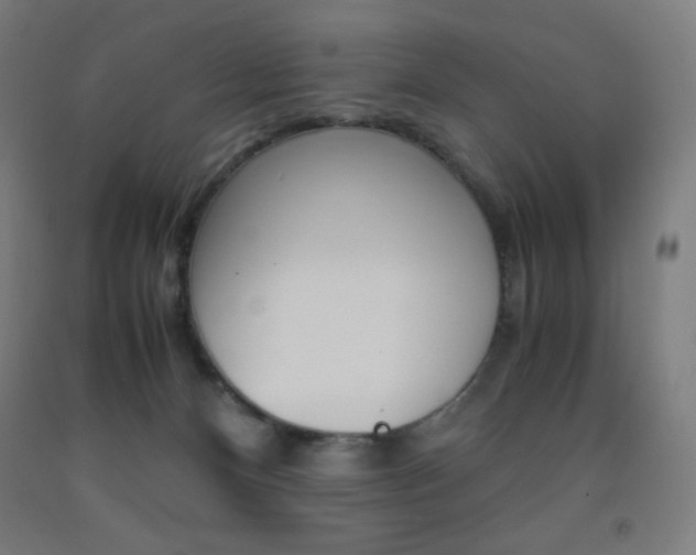 X0000093230128200709261517