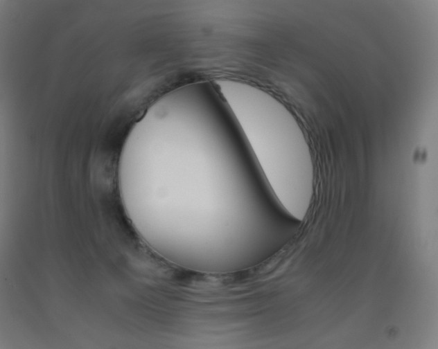 X0000093230129200709261517