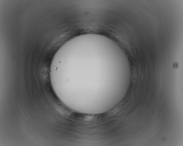 X0000093230130200709261517