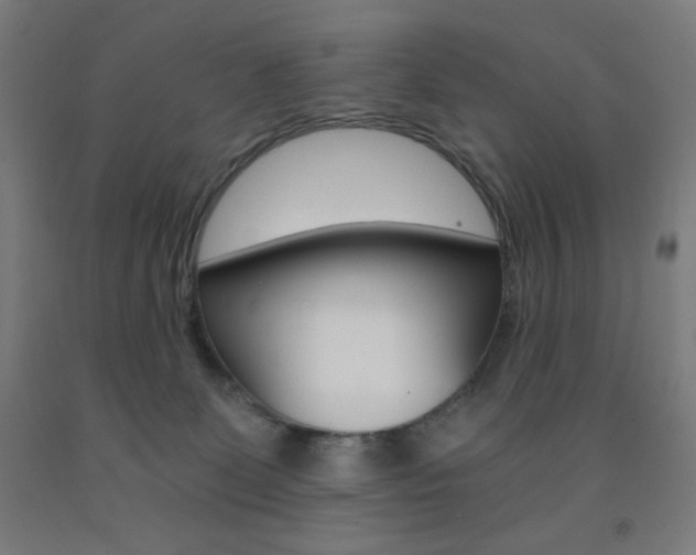 X0000093230131200709261517