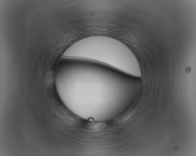 X0000093230135200709261517