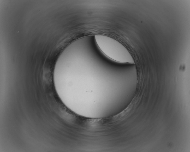 X0000093230136200709261517