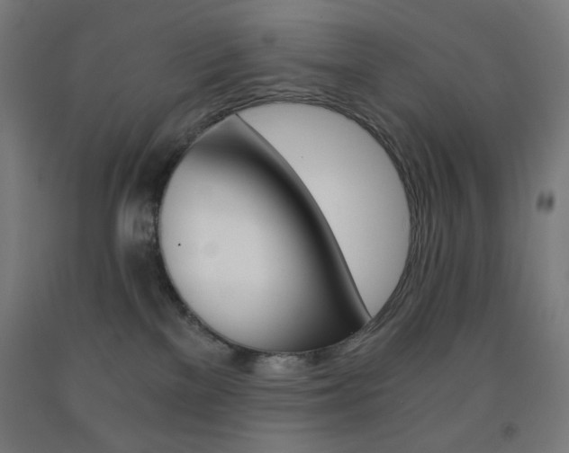 X0000093230137200709261517