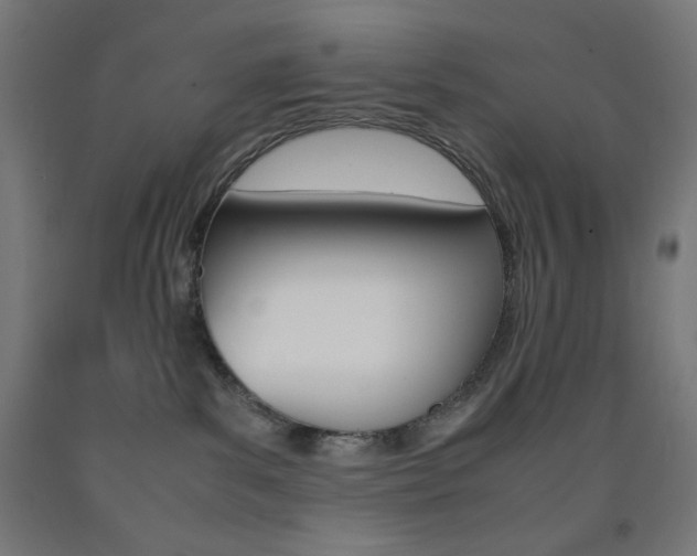 X0000093230139200709261517