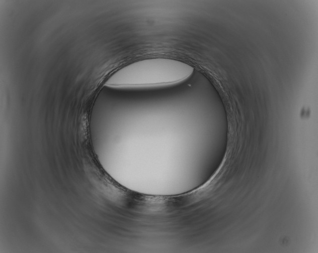 X0000093230144200709261517