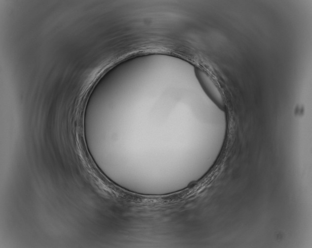 X0000093230145200709261516