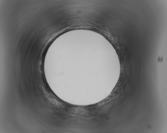 X0000093230146200709261516