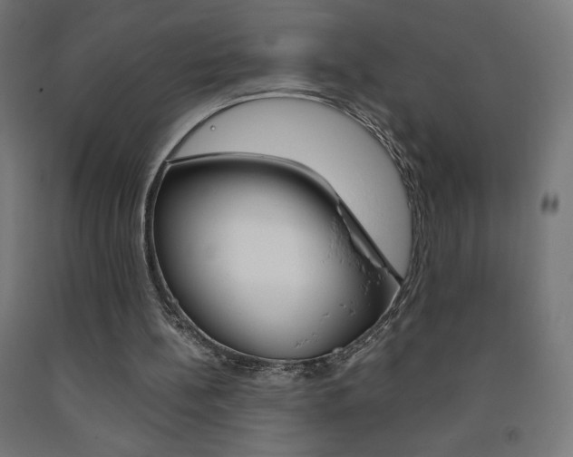 X0000093230148200709261516