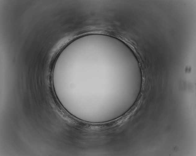 X0000093230149200709261516