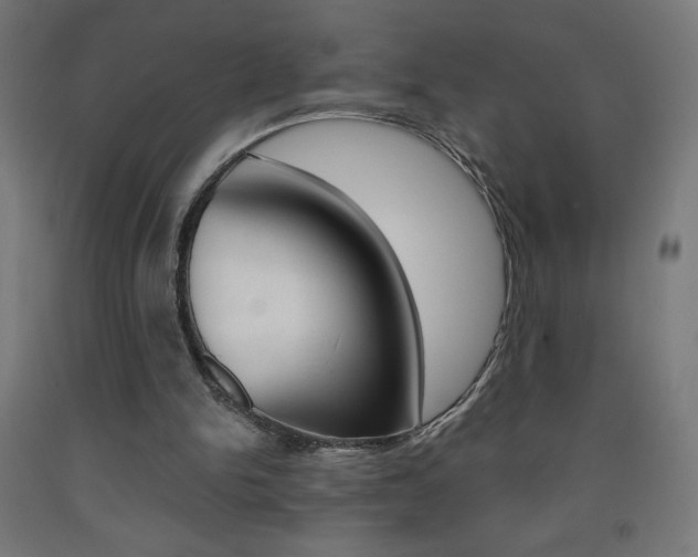 X0000093230150200709261516