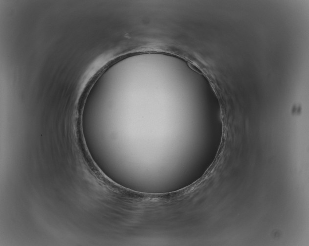X0000093230152200709261516