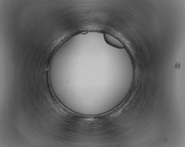 X0000093230153200709261516