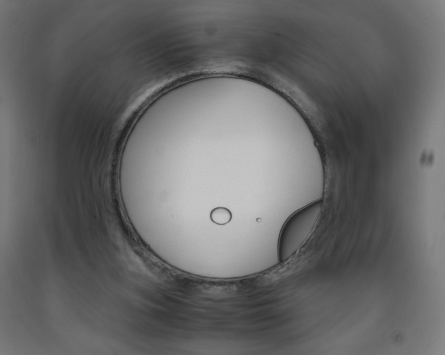 X0000093230155200709261516