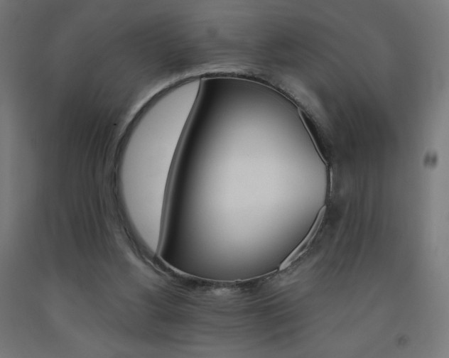 X0000093230156200709261516