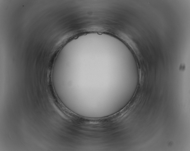 X0000093230157200709261516
