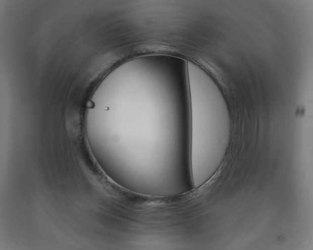 X0000093230158200709261516