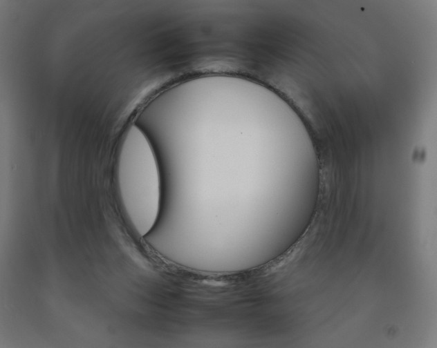 X0000093230159200709261516