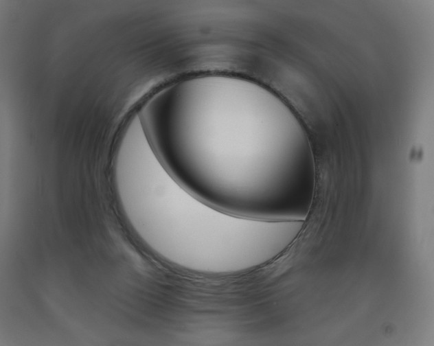 X0000093230160200709261516