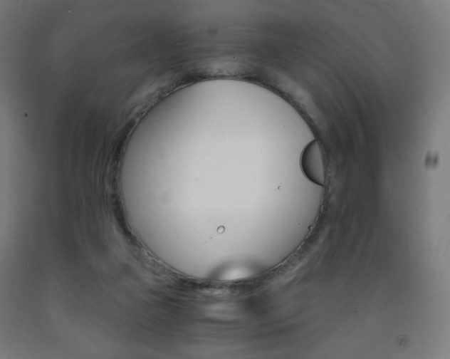 X0000093230161200709261516