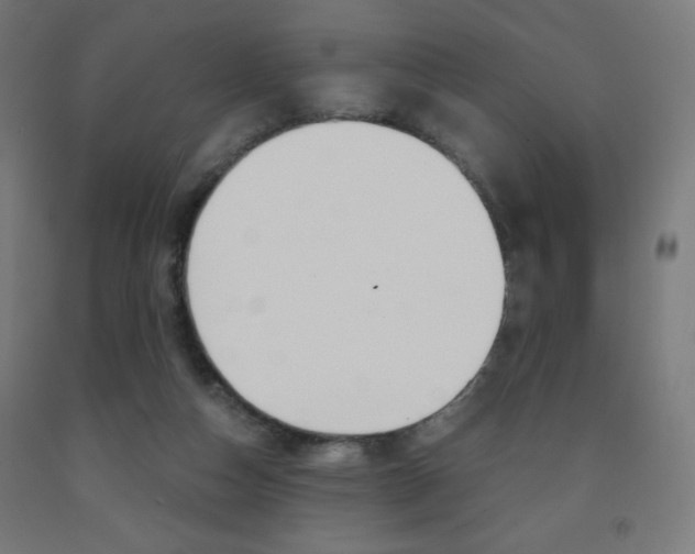 X0000093230162200709261516