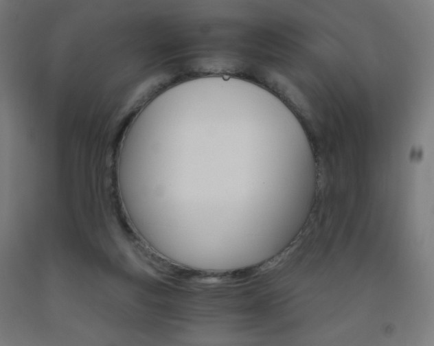 X0000093230163200709261516