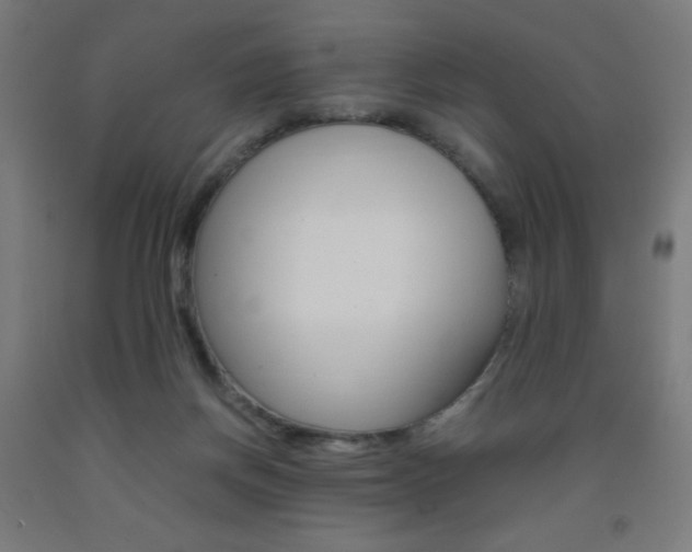 X0000093230166200709261516