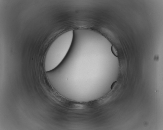 X0000093230167200709261516