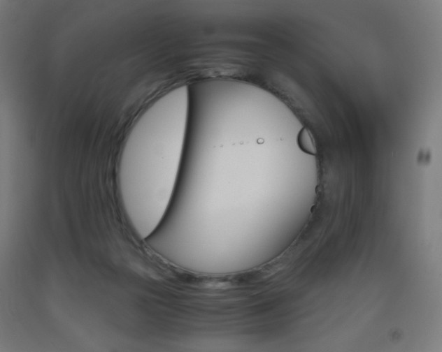 X0000093230169200709261517
