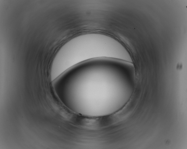 X0000093230170200709261517
