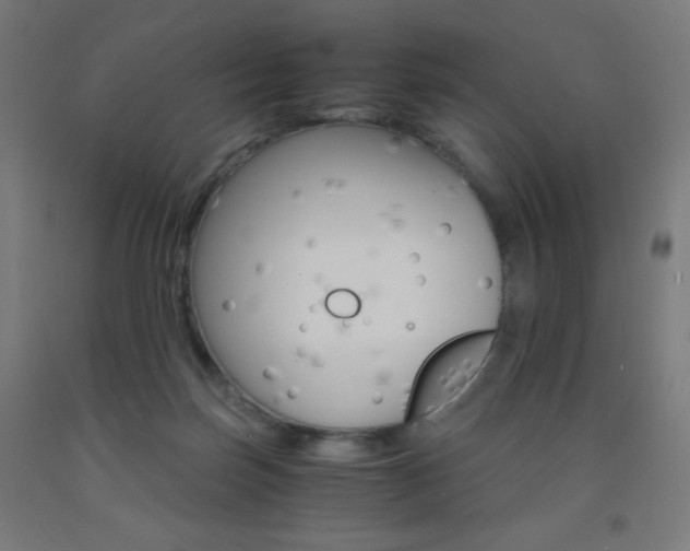 X0000093230171200709261517