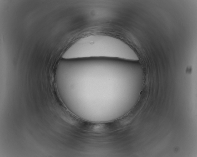 X0000093230173200709261517