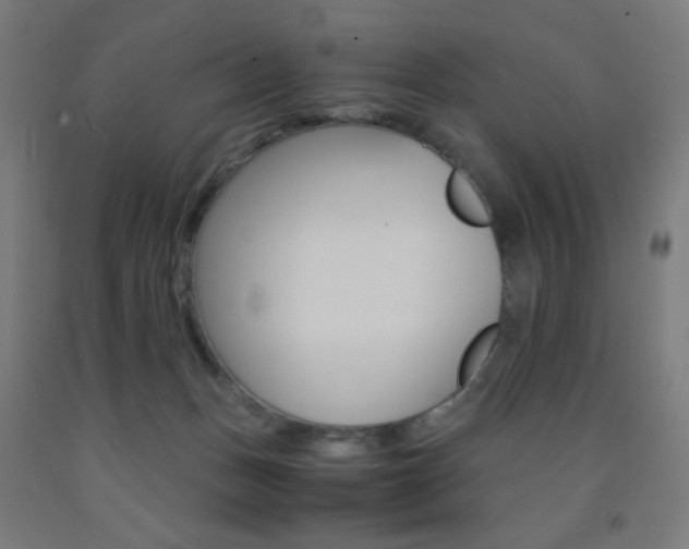 X0000093230175200709261517