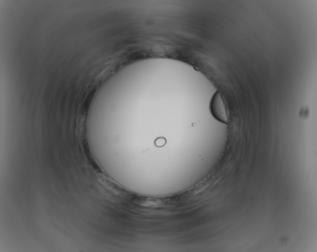 X0000093230177200709261517