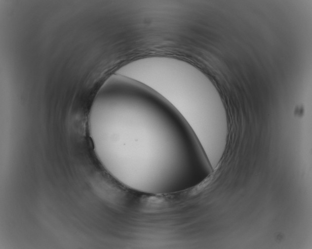 X0000093230180200709261517