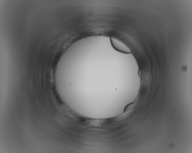 X0000093230182200709261517