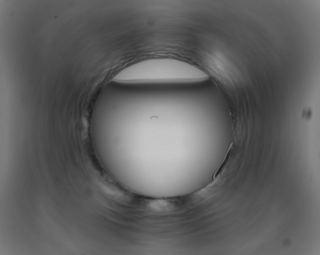 X0000093230183200709261517