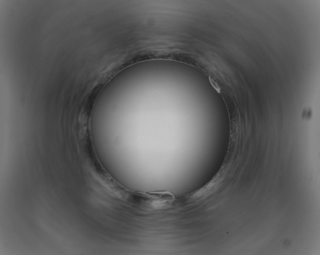 X0000093230184200709261517