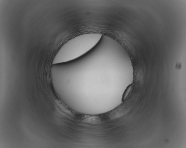 X0000093230185200709261517