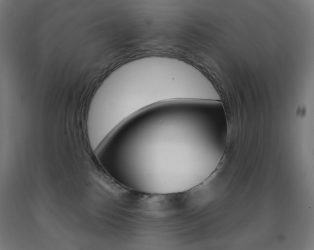 X0000093230186200709261517
