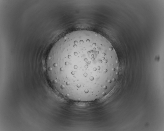 X0000093230187200709261517