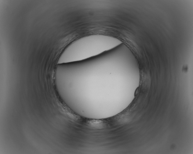 X0000093230189200709261517