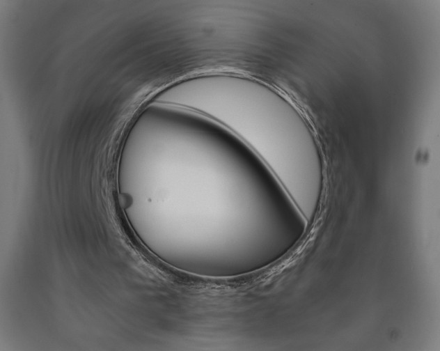 X0000093230193200709261516