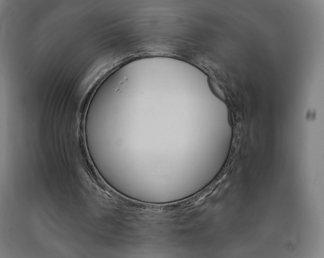 X0000093230194200709261516